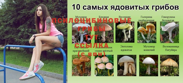 мескалин Алексеевка