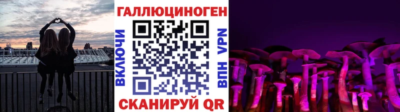 Галлюциногенные грибы Psilocybine cubensis Полтавская